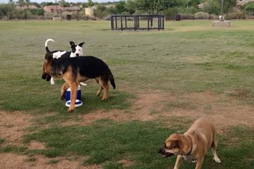 Dog Park at Paseo Vista Recreation Area photo 2